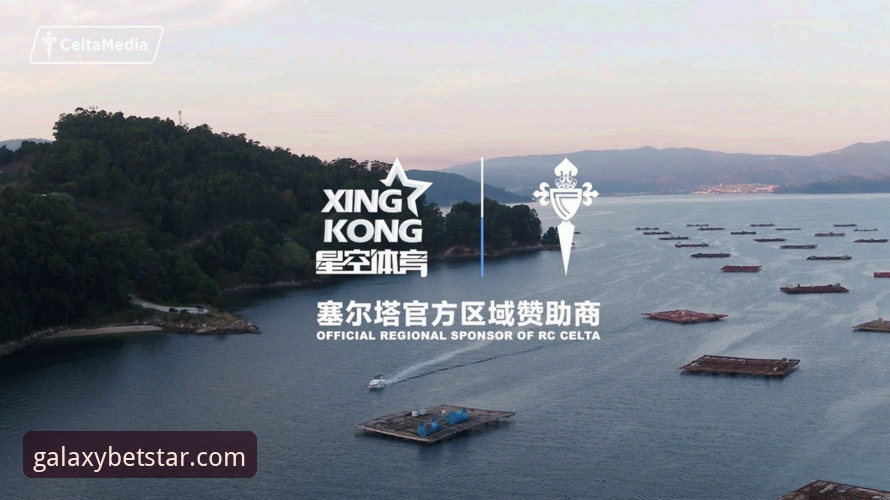 星空体育平台最新动态：从新手视角全面解析“星空体育可靠吗”的真实体验