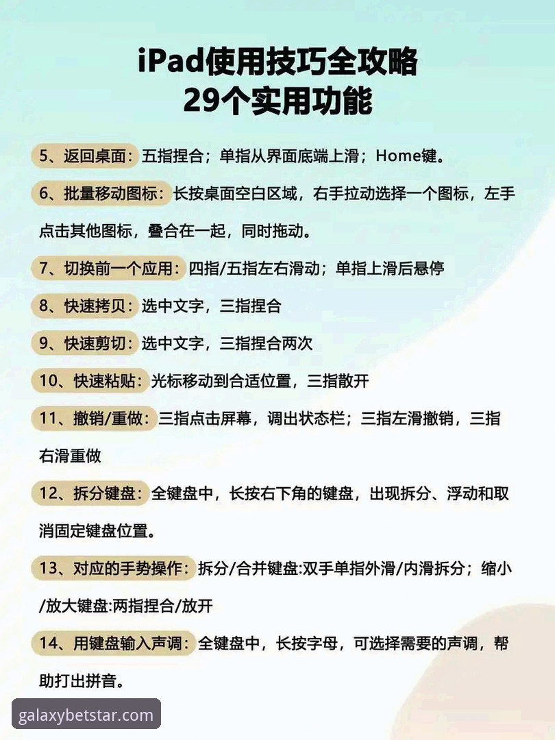 星空体育平台教程最新版使用必备知识：从下载到流畅体验的完整指南